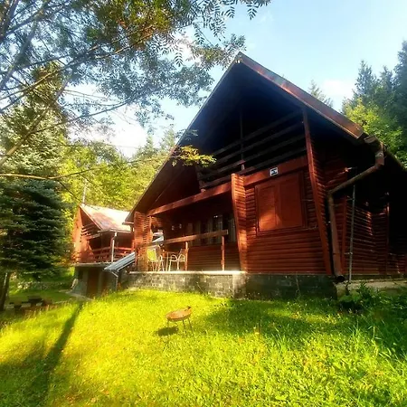 Lodge Zebra